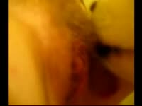 Zoophilia porno of dog licking a lady's pussy